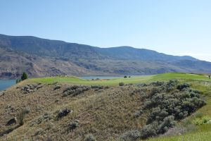 Tobiano 14th